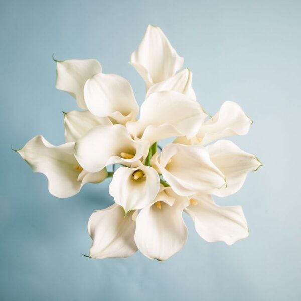 minimalistic-bouquet-1