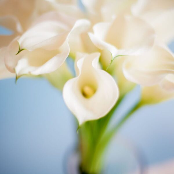 minimalistic-bouquet-2