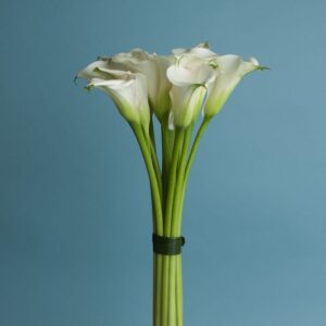 minimalist-bouquet
