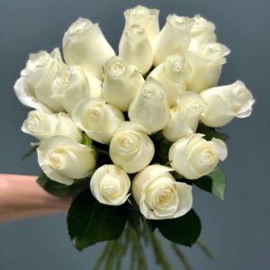 Proud Key Rose