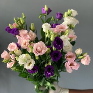 Mixed Color of Eustomas