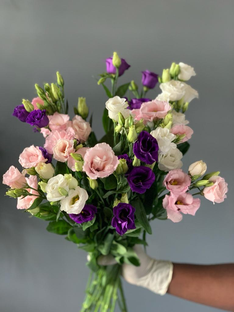 Mixed Color of Eustomas