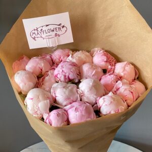 Pink Sarah Bernhardt Peonies