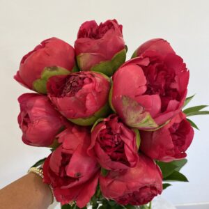 Command Performance Peonies