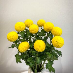 Ping pong yellow