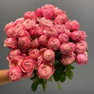 Silva Pink Spray roses