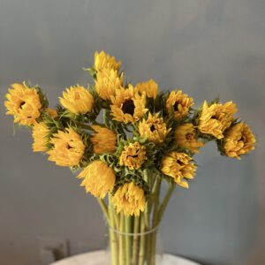 Sunflower Baby