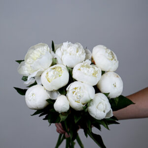 Peonies Duchesse De Nemours
