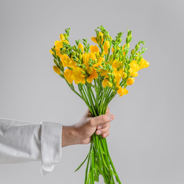 Freesia Yellow - Image 3