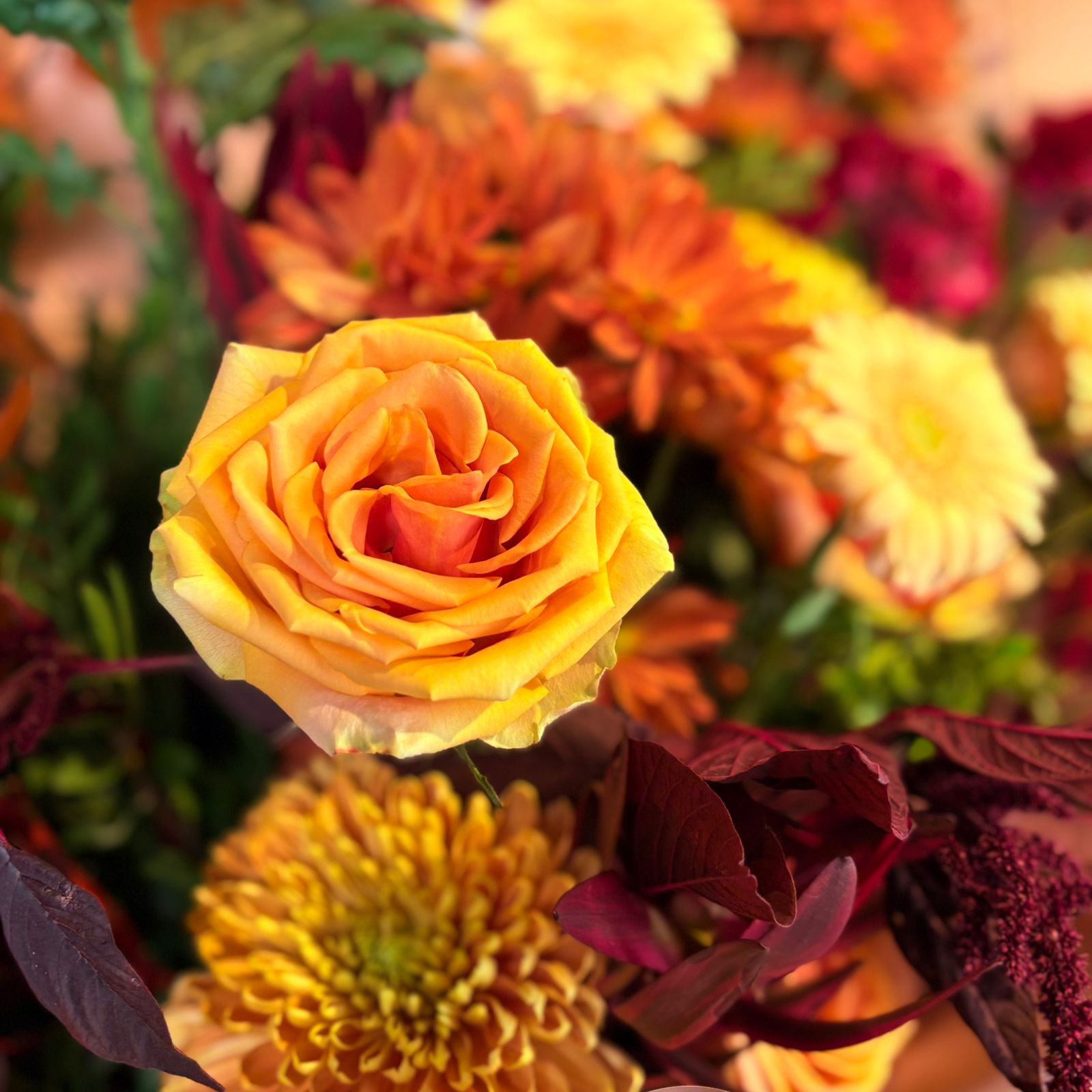 Autumn Embrace - Image 2