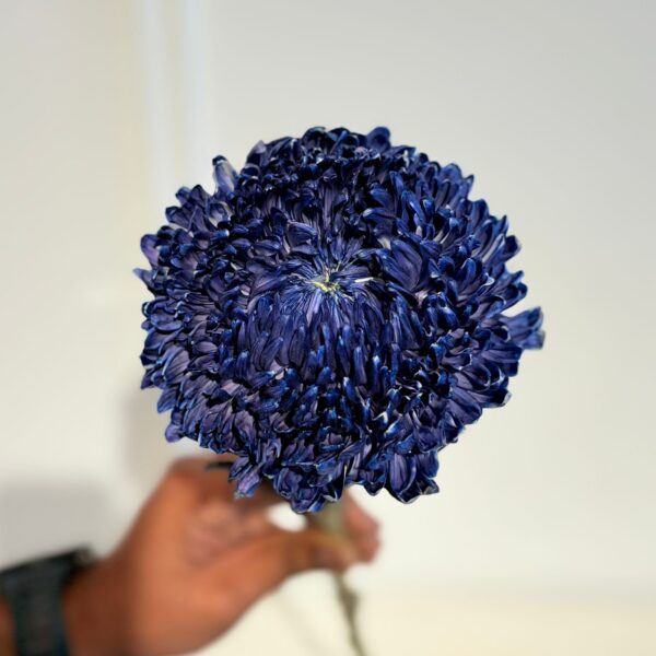 Chrysanthemum Deco Navy Tide - Image 2