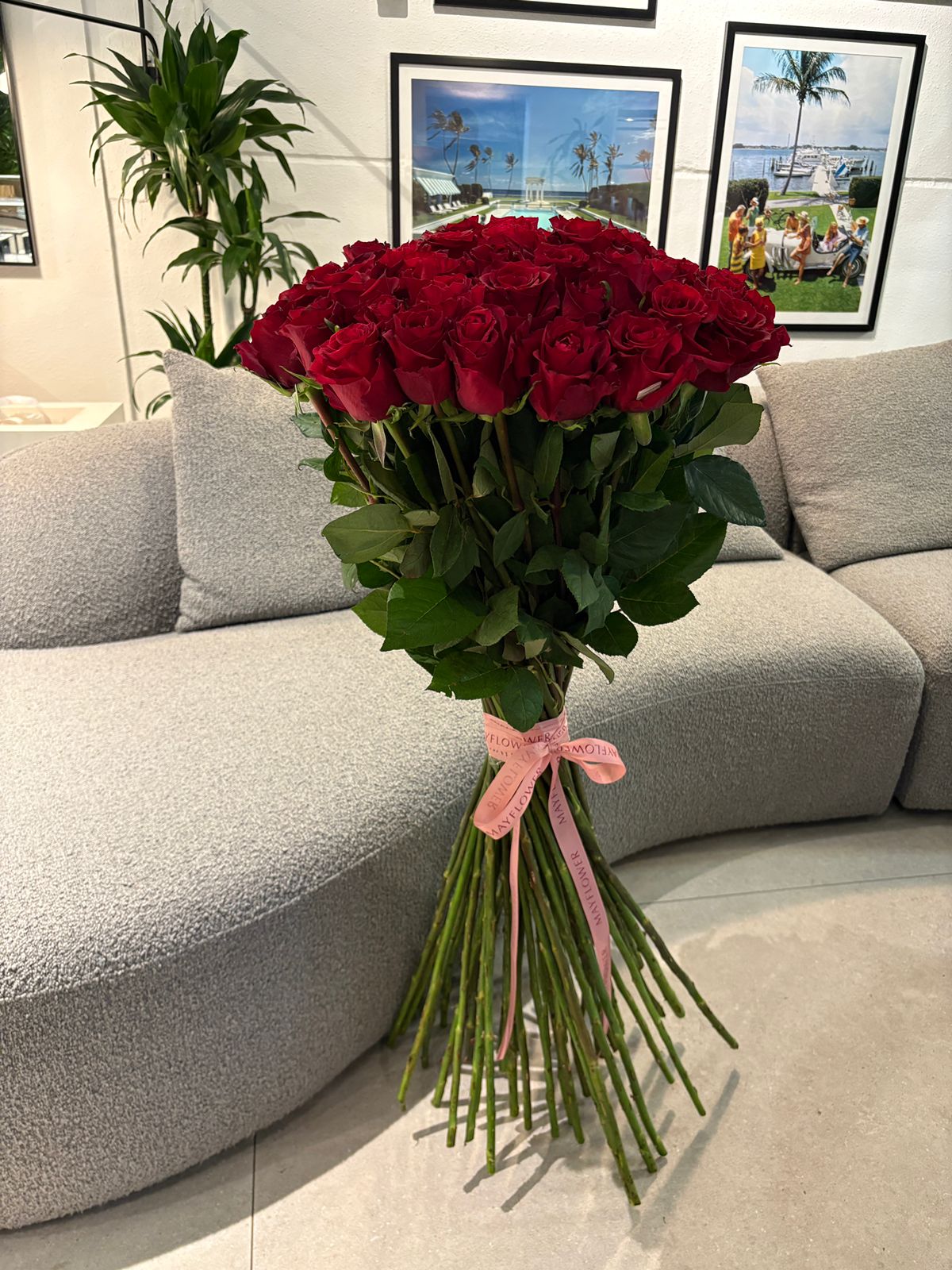 Tall Red Roses; 'Tres Chic, mon amour!'