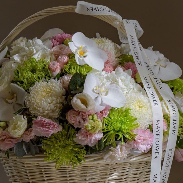 Basket of Eden